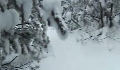 Порка Розгами Девушек Порно Видео Порка Розгами Девушек Порно Видео
